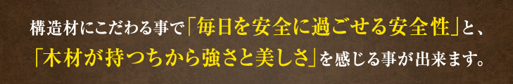 構造材にこだわる事で「毎日を安全に過ごせる安全性」と「木材が持つちから強さと美しさ」を感じる事が出来ます。